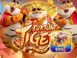 bet_主图